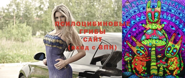 альфа пвп Армянск